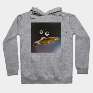 Googly eyes #125 Hoodie